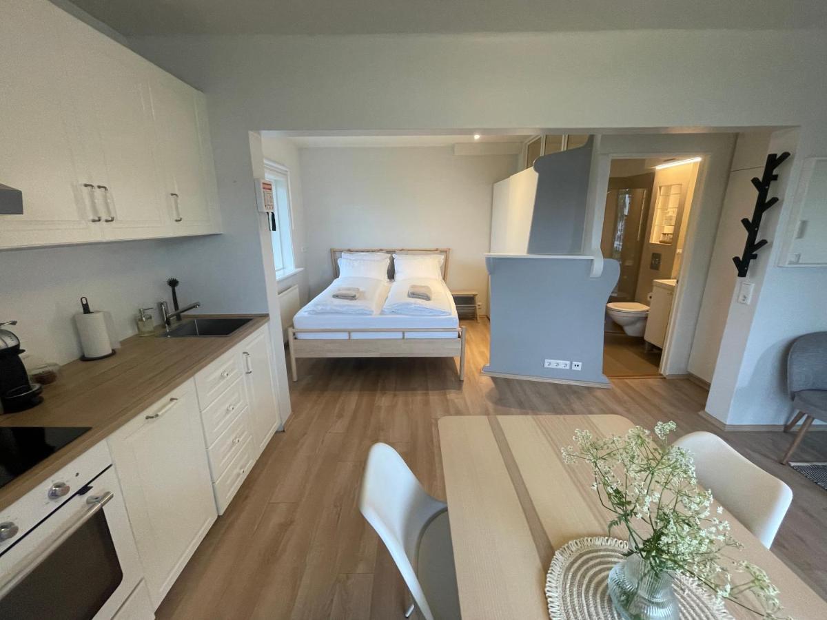 Cosy Studio Apartment 惠拉盖尔济 外观 照片